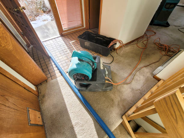 Best Commercial water damage restoration  in Burlington, IA