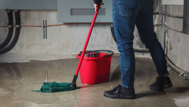 Best Basement water damage restoration  in Burlington, IA