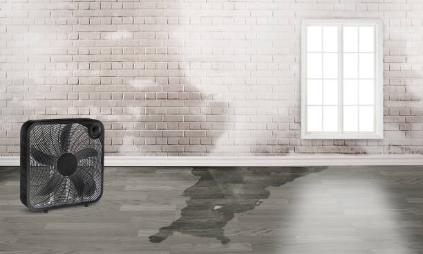  Burlington, IA Water damage restoration Pros