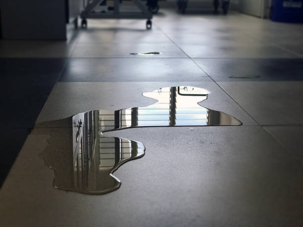 Best Water damage mitigation services  in Burlington, IA