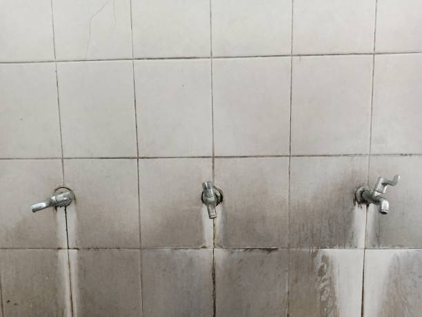 Best Water damage restoration process  in Burlington, IA