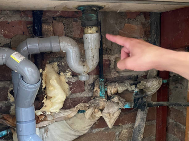 Best Carpet water damage restoration  in Burlington, IA