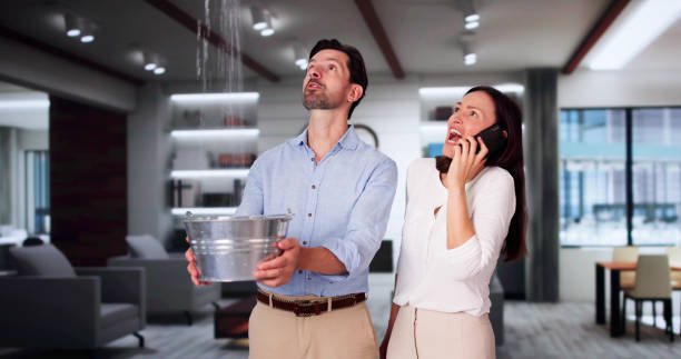 Best Professional water damage repair  in Burlington, IA
