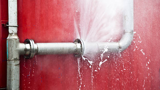 Best Flooded house restoration  in Burlington, IA
